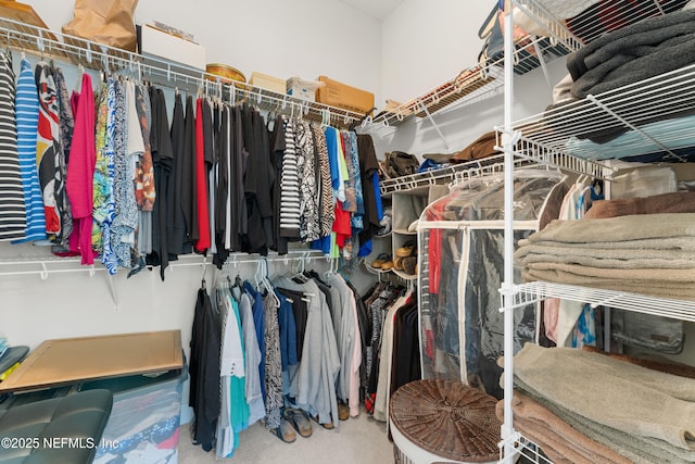 spacious closet featuring carpet floors