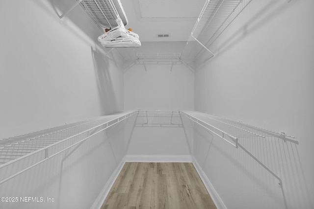 walk in closet featuring light hardwood / wood-style floors