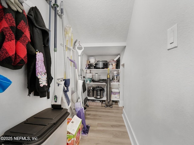 spacious closet with light hardwood / wood-style floors