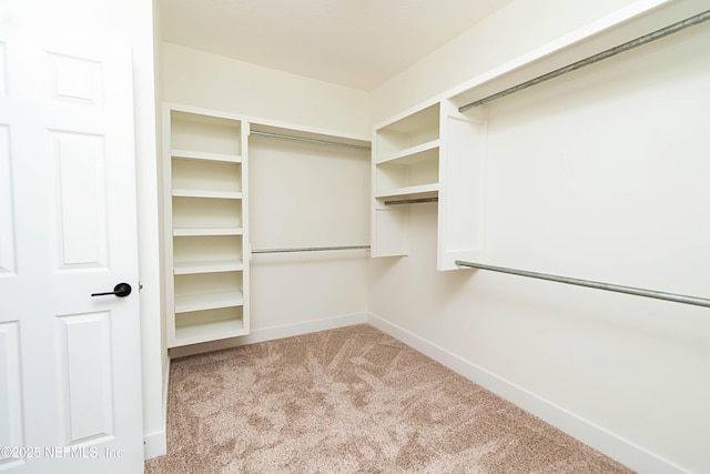 spacious closet featuring light carpet