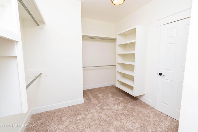 spacious closet featuring light colored carpet