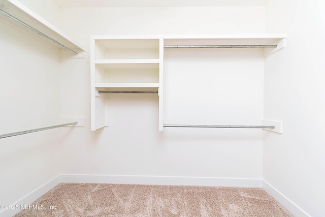 walk in closet with carpet