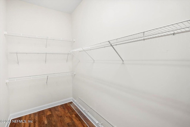 spacious closet with dark hardwood / wood-style flooring