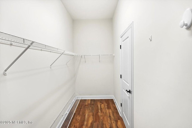 walk in closet featuring dark hardwood / wood-style floors