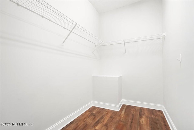 spacious closet with dark wood-style flooring