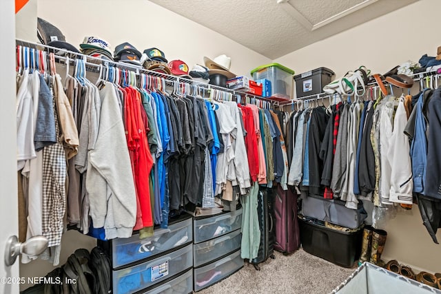 spacious closet featuring carpet flooring