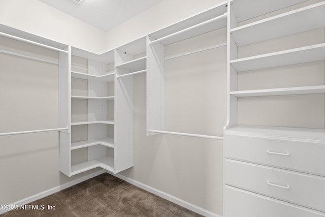 walk in closet featuring dark colored carpet