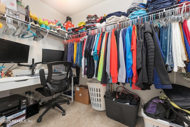 walk in closet with carpet floors