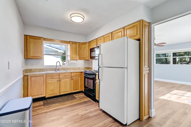 kitchen featuring ceiling fan, sink, black appliances, and light wood-type flooring