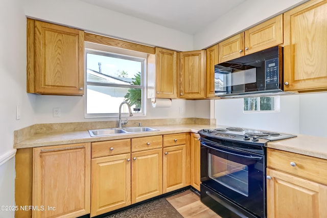 kitchen with sink, light hardwood / wood-style floors, and black appliances