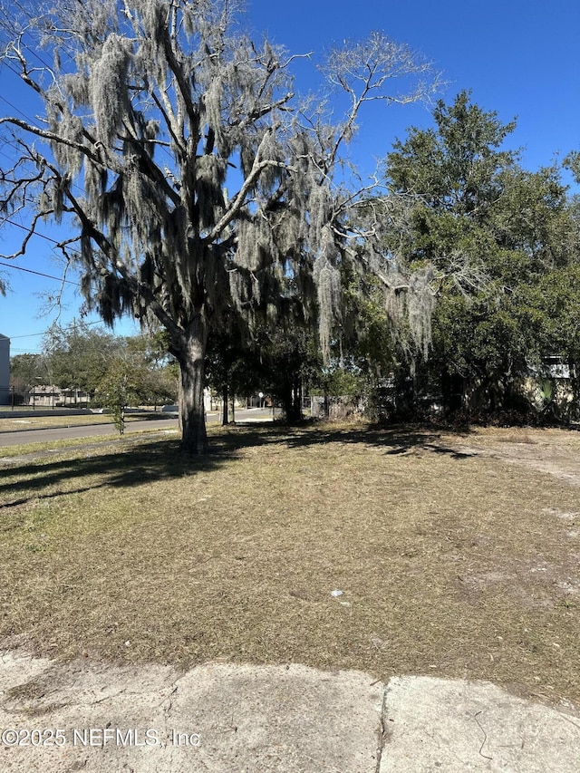 1307 Odessa St, Jacksonville FL, 32206 land for sale