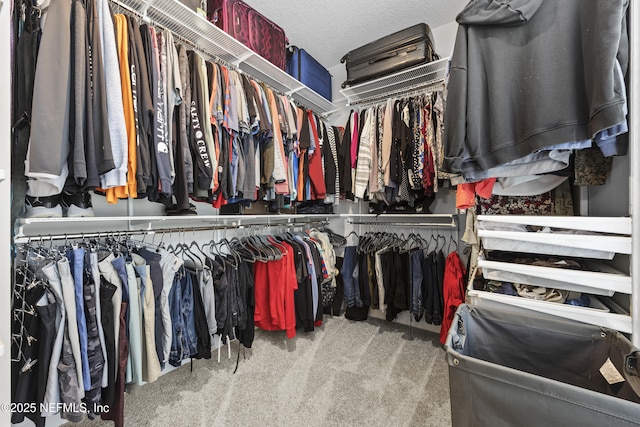 spacious closet featuring carpet