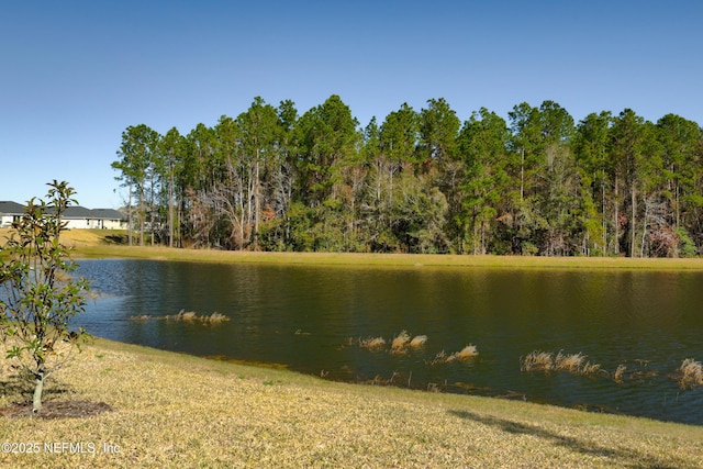 view of water feature