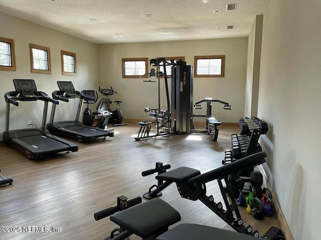 workout area with a wealth of natural light, a textured ceiling, and light hardwood / wood-style floors