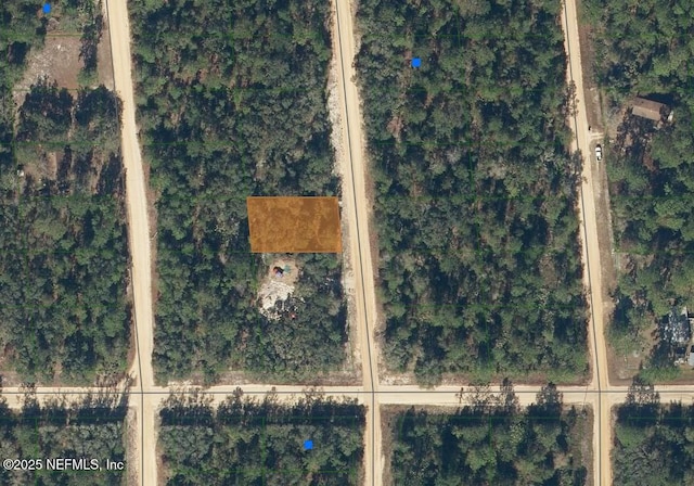 541 Norman Ave, Interlachen FL, 32148 land for sale