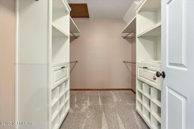 walk in closet with light carpet