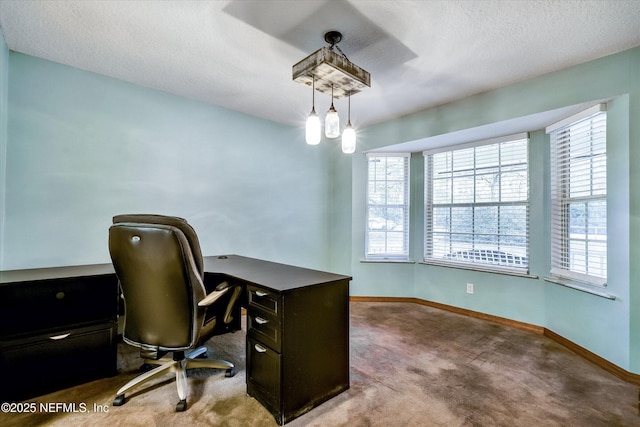 office with light carpet and a textured ceiling