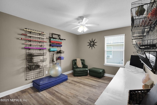 office featuring ceiling fan, a textured ceiling, and hardwood / wood-style flooring