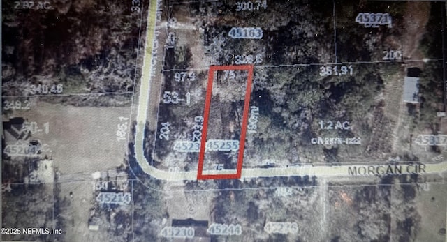 45255 Morgan Cir, Callahan FL, 32011 land for sale