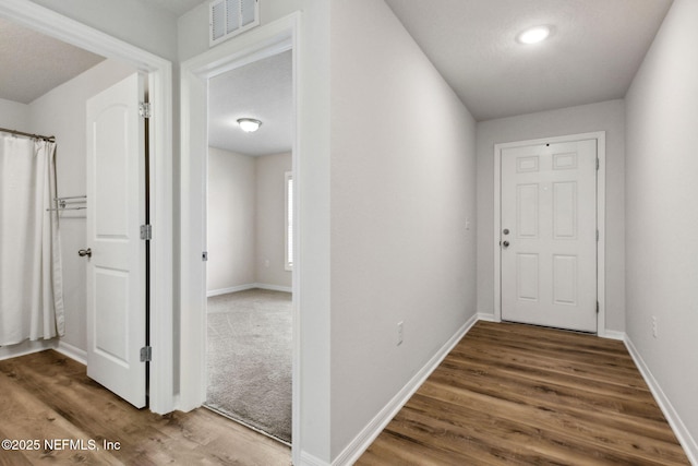 195 River Rdg Pl, Welaka, FL 32193 - hall featuring dark hardwood / wood-style floors
