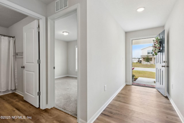 195 River Rdg Pl, Welaka, FL 32193 - entrance foyer featuring a healthy amount of sunlight and hardwood / wood-style floors
