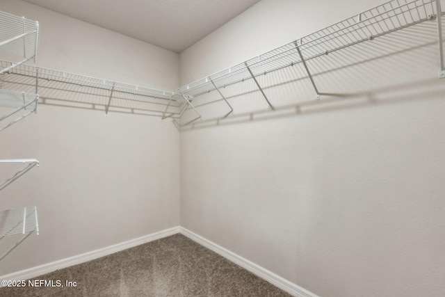 195 River Rdg Pl, Welaka, FL 32193 - spacious closet featuring carpet