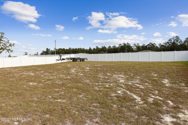 195 River Rdg Pl, Welaka, FL 32193 - view of yard