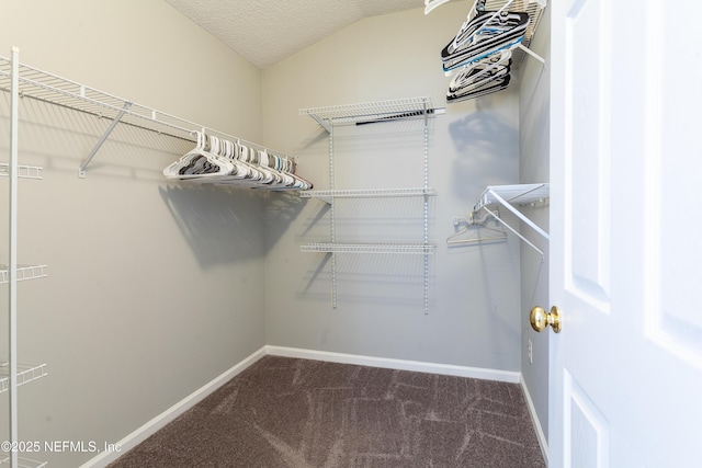 walk in closet with vaulted ceiling and carpet flooring