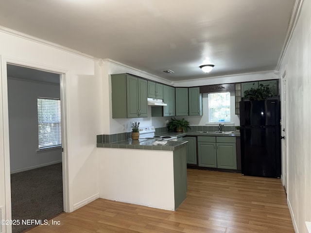 361 Broward St, Jacksonville, FL 32204 - kitchen with white electric range oven, green cabinetry, freestanding refrigerator, under cabinet range hood, and ornamental molding