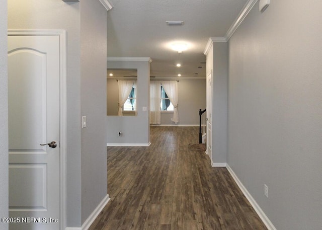 corridor with crown molding and dark hardwood / wood-style floors