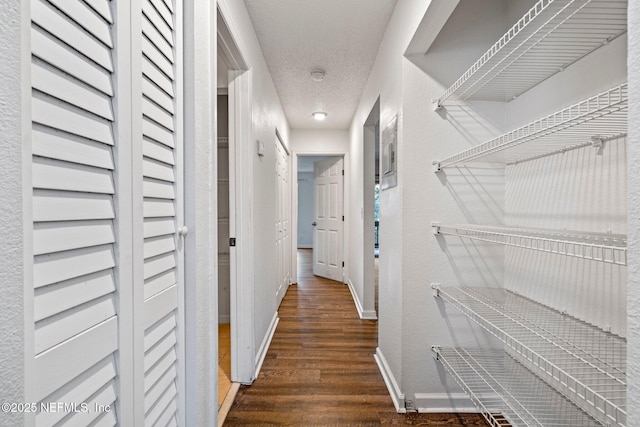 hall featuring dark hardwood / wood-style flooring