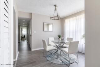 dining area featuring dark hardwood / wood-style flooring