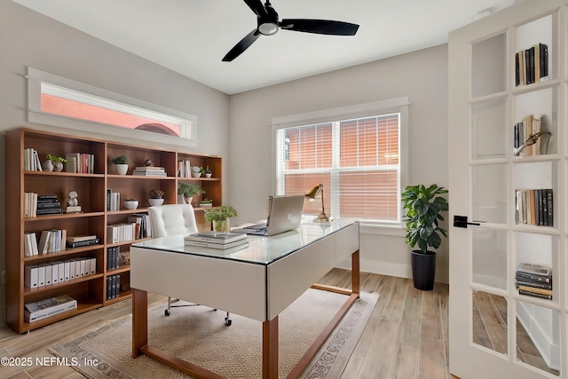 office with ceiling fan and light hardwood / wood-style flooring