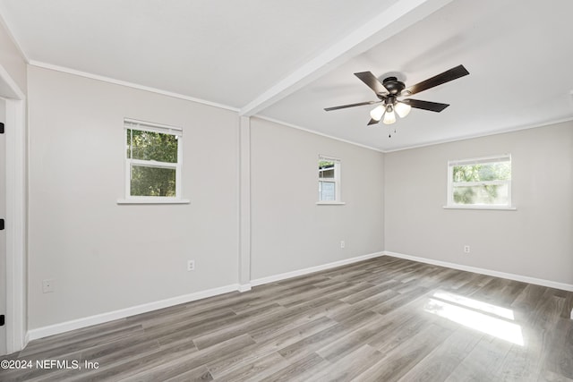 spare room with ceiling fan, a wealth of natural light, and hardwood / wood-style floors