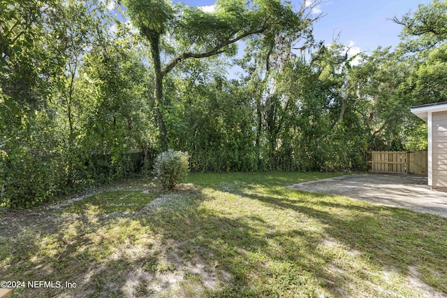 view of yard with a patio area