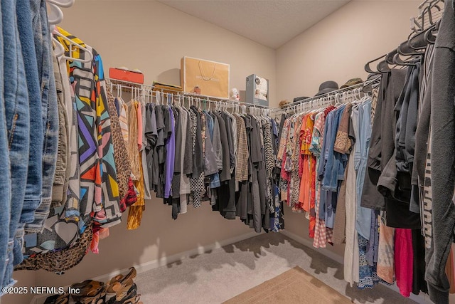 spacious closet featuring carpet floors