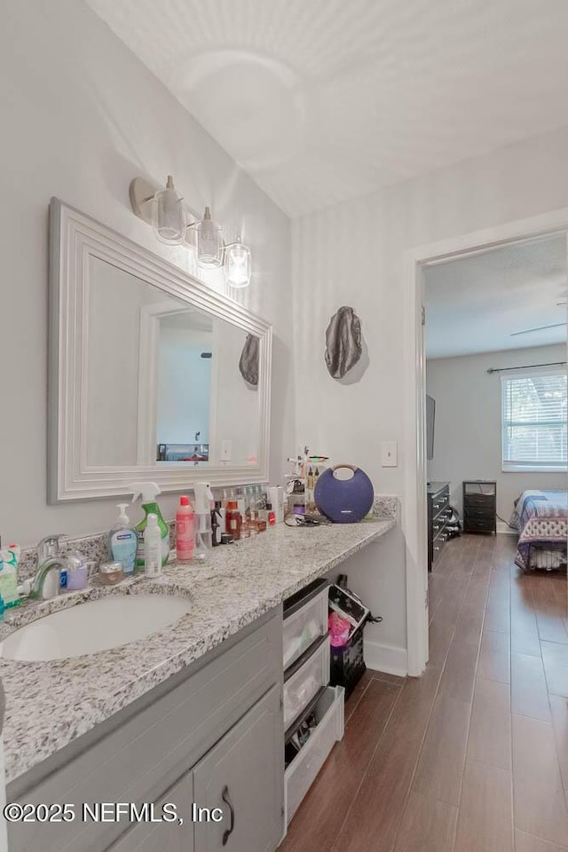 bathroom with wood-type flooring and vanity