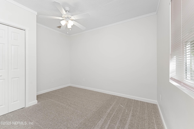 carpeted spare room with ceiling fan and crown molding