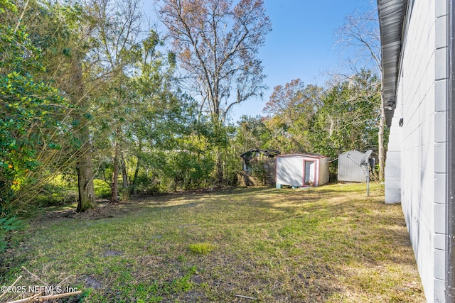 view of yard with a shed