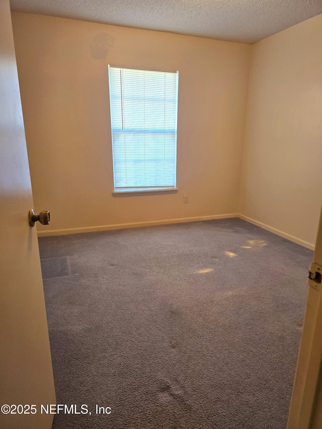 3653 Double Branch Ln, Orange Park, FL 32073 - photo 11