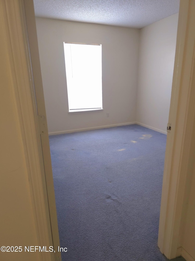 3653 Double Branch Ln, Orange Park, FL 32073 - photo 12