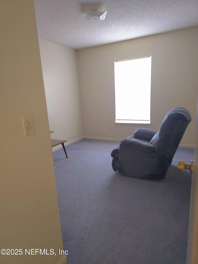 3653 Double Branch Ln, Orange Park, FL 32073 - photo 13