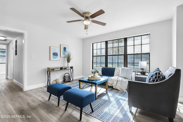 living room with ceiling fan and light hardwood / wood-style flooring