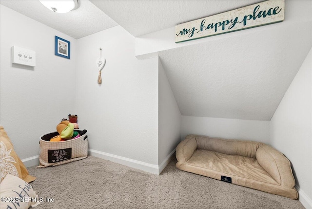 interior space featuring lofted ceiling and a textured ceiling