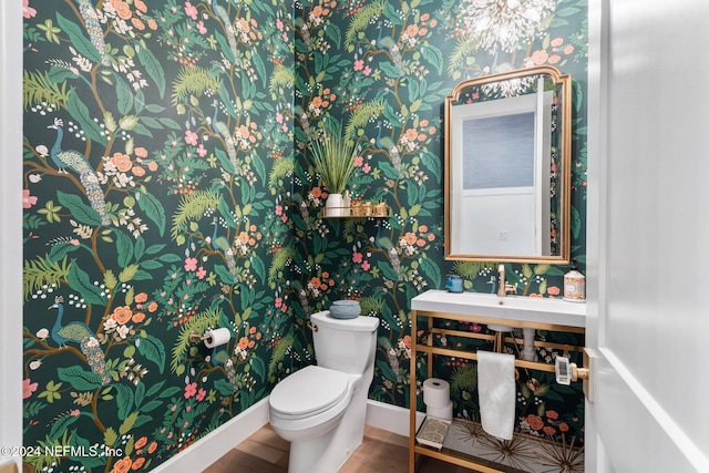 bathroom with sink, wood-type flooring, and toilet