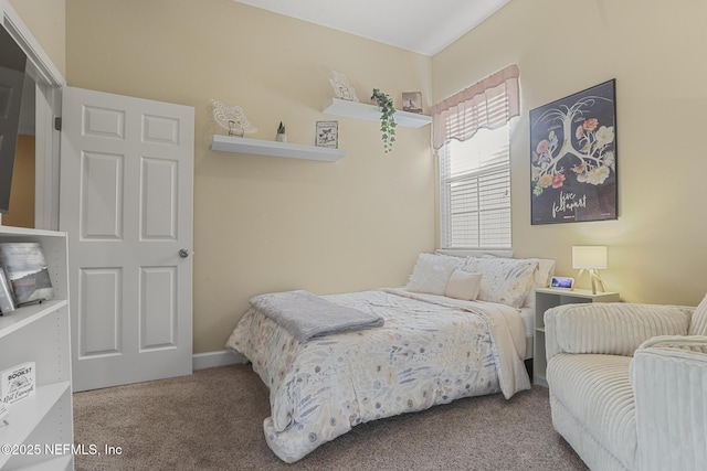 bedroom with carpet floors