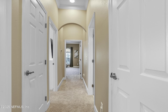 corridor featuring crown molding and light colored carpet