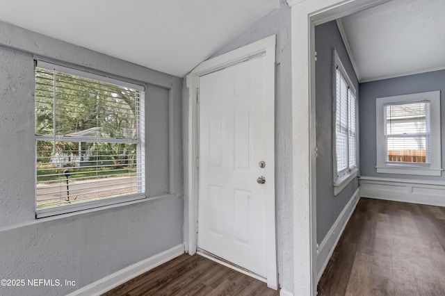 foyer entrance featuring dark hardwood / wood-style flooring and lofted ceiling