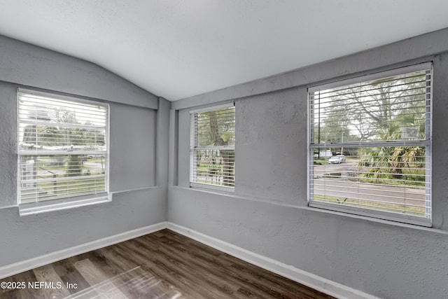 spare room with vaulted ceiling and wood-type flooring