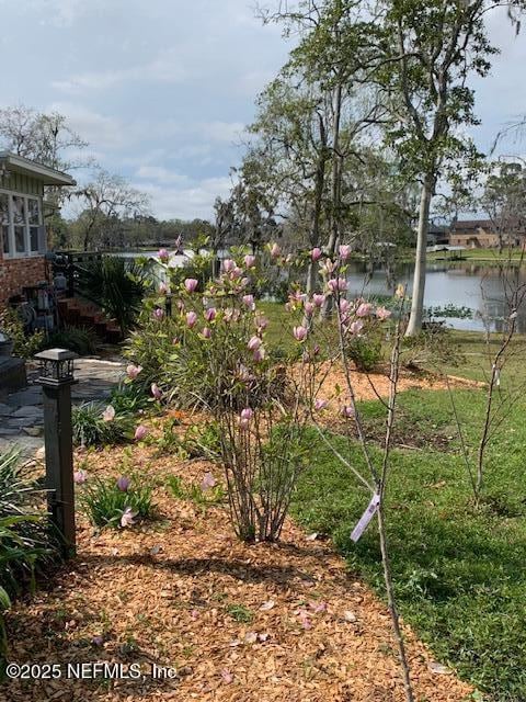 view of yard with a water view